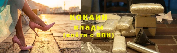 apvp Алексин