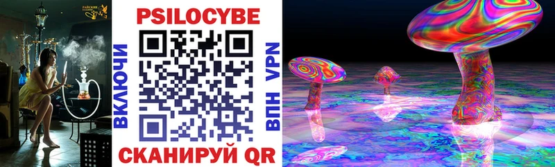 маркетплейс официальный сайт  Чердынь  Псилоцибиновые грибы MAGIC MUSHROOMS  кракен рабочий сайт 